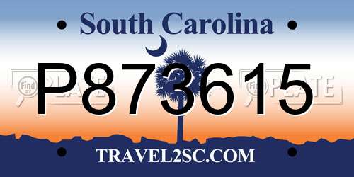 P873615 South Carolina License Plate