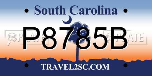 P8785B South Carolina License Plate