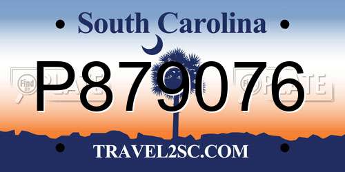P879076 South Carolina License Plate