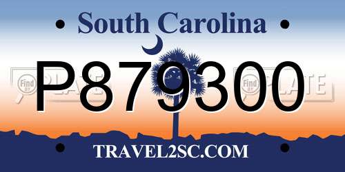 P879300 South Carolina License Plate