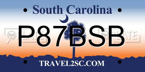 P87BSB South Carolina License Plate