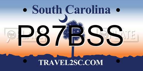 P87BSS South Carolina License Plate