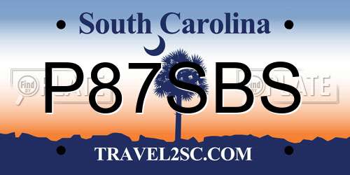 P87SBS South Carolina License Plate
