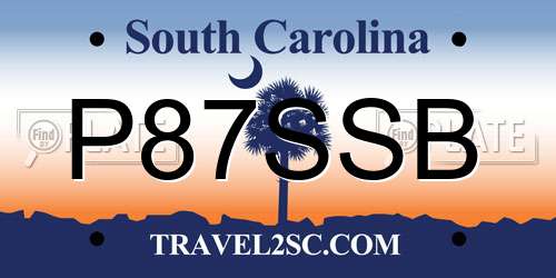 P87SSB South Carolina License Plate