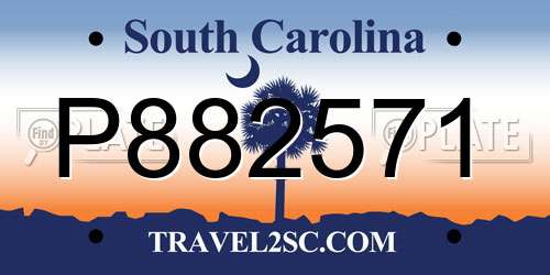 P882571 South Carolina License Plate