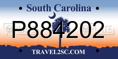 P884202 South Carolina License Plate