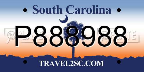 P888988 South Carolina License Plate