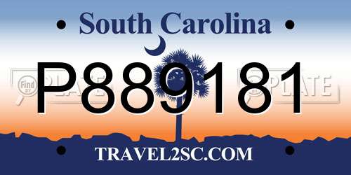 P889181 South Carolina License Plate