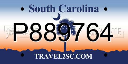 P889764 South Carolina License Plate