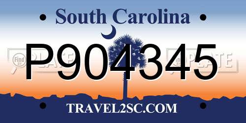 P904345 South Carolina License Plate