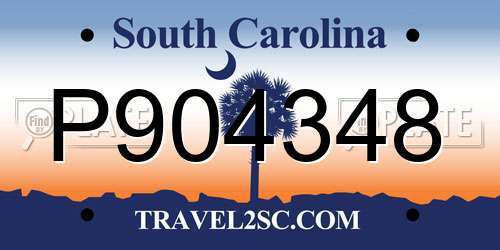 P904348 South Carolina License Plate