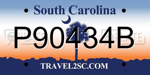 P90434B South Carolina License Plate