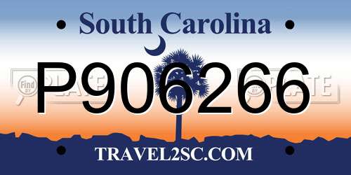 P906266 South Carolina License Plate