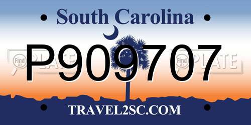 P909707 South Carolina License Plate