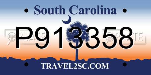 P913358 South Carolina License Plate
