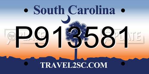 P913581 South Carolina License Plate