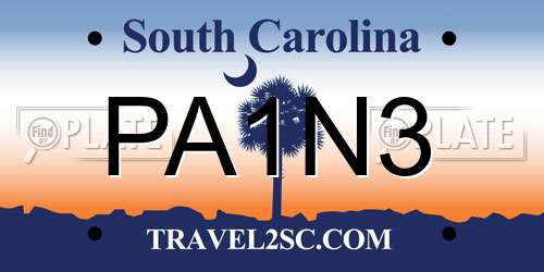 PA1N3 South Carolina License Plate