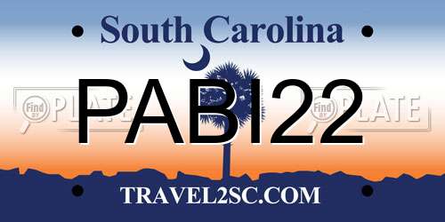 PABI22 South Carolina License Plate