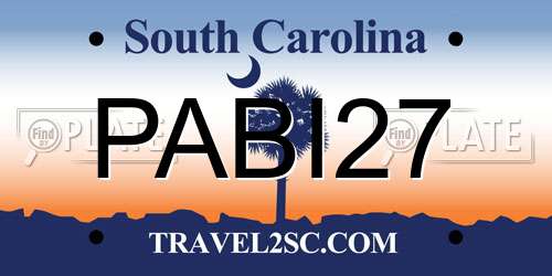 PABI27 South Carolina License Plate