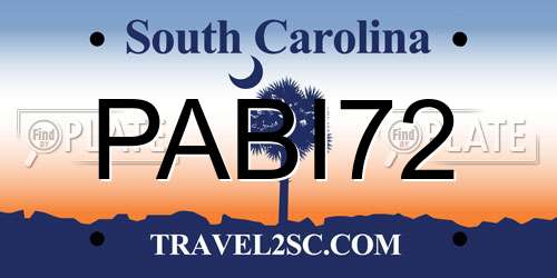 PABI72 South Carolina License Plate