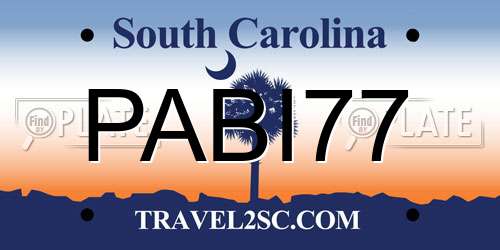 PABI77 South Carolina License Plate