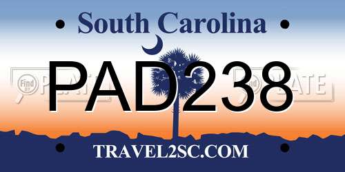 PAD238 South Carolina License Plate