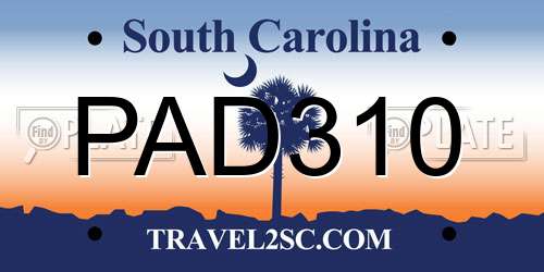 PAD310 South Carolina License Plate