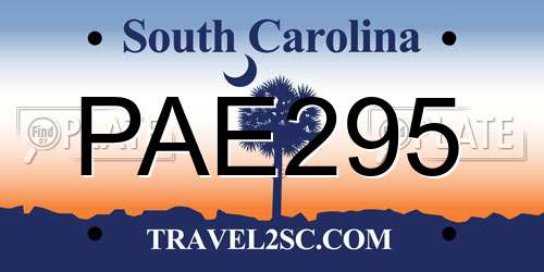 PAE295 South Carolina License Plate