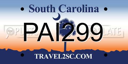 PAI299 South Carolina License Plate