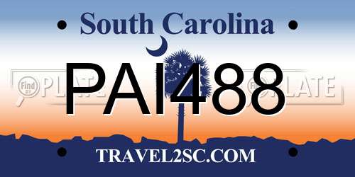 PAI488 South Carolina License Plate