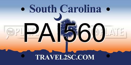 PAI560 South Carolina License Plate