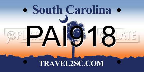 PAI918 South Carolina License Plate
