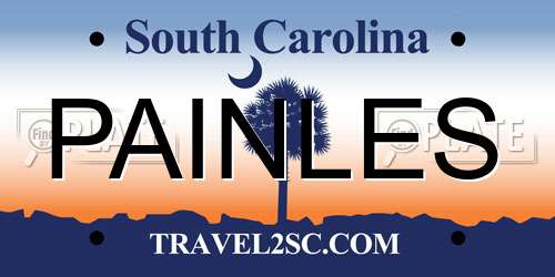 PAINLES South Carolina License Plate