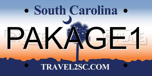PAKAGE1 South Carolina License Plate