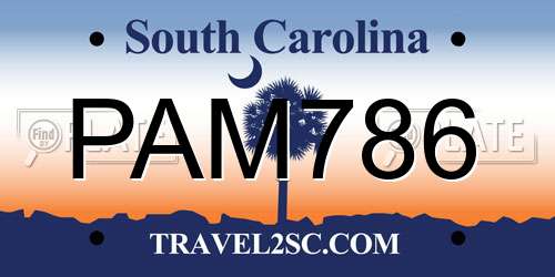 PAM786 South Carolina License Plate