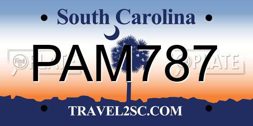 PAM787 South Carolina License Plate