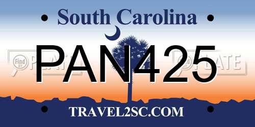 PAN425 South Carolina License Plate