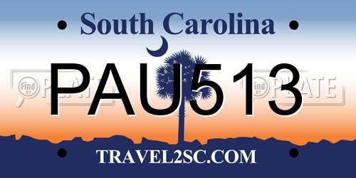 PAU513 South Carolina License Plate