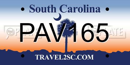 PAV165 South Carolina License Plate