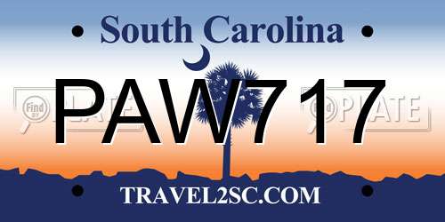 PAW717 South Carolina License Plate