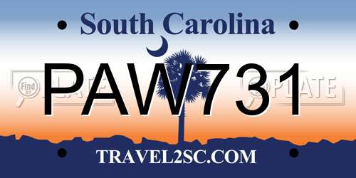 PAW731 South Carolina License Plate