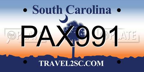PAX991 South Carolina License Plate