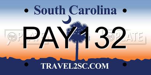 PAY132 South Carolina License Plate