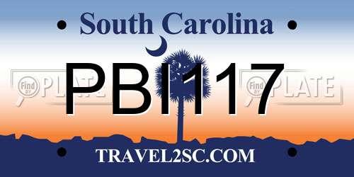 PBI117 South Carolina License Plate