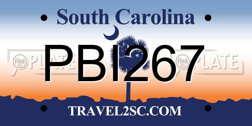 PBI267 South Carolina License Plate