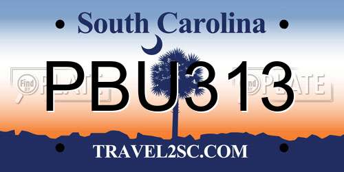 PBU313 South Carolina License Plate