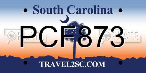 PCF873 South Carolina License Plate