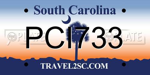 PCI733 South Carolina License Plate
