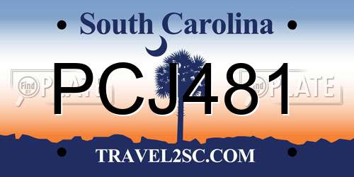PCJ481 South Carolina License Plate