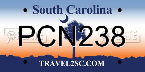 PCN238 South Carolina License Plate
